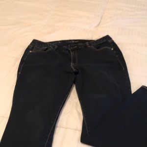 Lane Bryant Dark Rinse Skinny Fit Jeans. Size 14